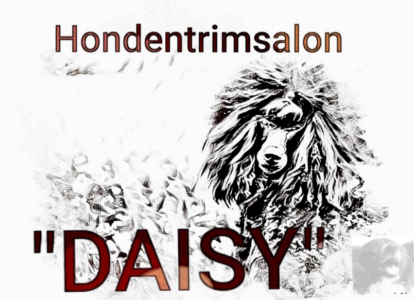 Hondentrimsalon Daisy